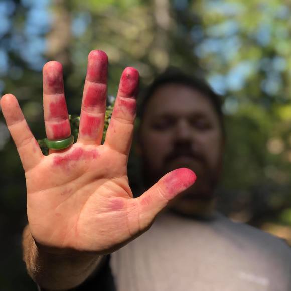 Meet your Posher, Charlie - Picture 1 of 1